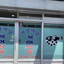 자갈복어 이미지