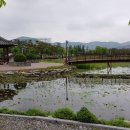 신정호국민관광지 이미지