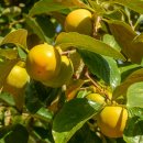 국립수산과학원 이미지