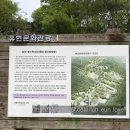 유현문화관광지 이미지