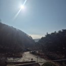 제천여행) 포레스트리솜 빌라형 S25 투숙후기 (+해브나인스파) 제천 포장음식 추천