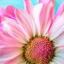 수원-0649 이미지