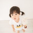 홍당무그린스튜디오 이미지