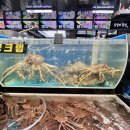 포항회식당，포항활어