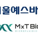 엠엑스