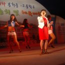 미니샆 이미지
