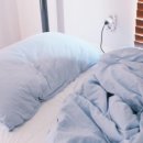 연미정 민박 이미지