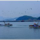 유람선선착장 이미지