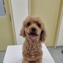 곡교천로 이미지