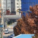 풍무동검도관 이미지