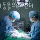 24시 당신의 동물의료센터 | 수원 천천동 동물병원 당신의동물의료센터 진료시간 접근성 이용후기