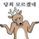 아람토탈시스템
