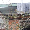 해님농장 이미지