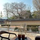 왕릉김밥 | [김해] 김해 벚꽃 명소 왕릉길🌸 해이담커피 카페 버터떡 후기