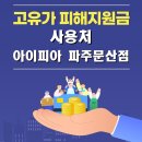 아이피아