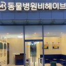 동물병원 비헤이브 이미지