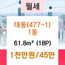 대동7호 이미지