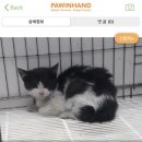 짱구네동물병원 이미지