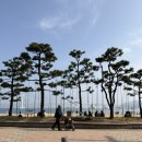 분식에빠진날 | 보담상회 / 해산물은 유진호 초장집은 호락호락 내돈내산 솔직후기 / 광안제일분식 24시간 술파는 분식집