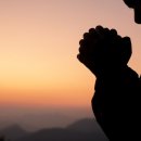 365힘찬한의원 이미지