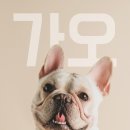 백돌스냅