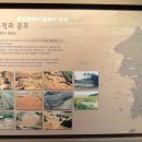 동삼동패총전시관 Daum카페