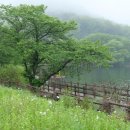 늘숲 - 남구 삼산로278번길 14 | 늘숲