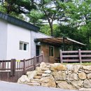 금봉칼국수 이미지