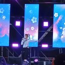 자유공간 Daum카페