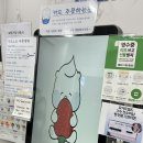 요거트월드조례점 네이버블로그