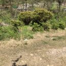 정주네농장 이미지