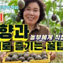 부량농장 이미지