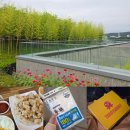 타코야미 이미지