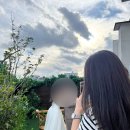 아비넹뜨스튜디오 이미지