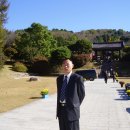팔석 Daum카페