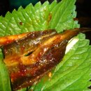 팔팔민물장어 이미지