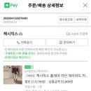 천상여우 이미지