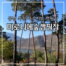 이원면사무소 | 충남 옥천 아름다운 호수뷰, &#39;마로니에 숲 캠핑장&#39; Ps.사이트추천