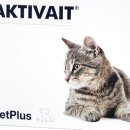 파라곤동물병원 이미지