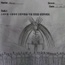콘트라스트 이미지