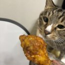 김여사푸드코트 | 주말 일상 블로그 | 커넥트현대청주 체인소맨 쯔란윙봉으로 마무리