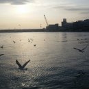 바다식자재마트