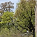 상수리주유소 이미지