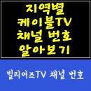 (주) 씨엠비 동대전방송 | 빌리어즈TV 당구전문채널:: 케이블TV 채널 번호 IPTV 채널 (+ 빌리어드TV)