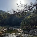 돌담민박 이미지