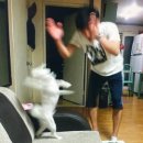 빵하루 이미지