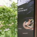 카츠앤멘 이미지