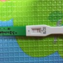 윤성약국 이미지