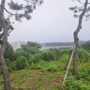(주)파레아나 이미지