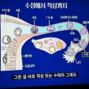 임신 수정에서 착상까지 과정 이미지